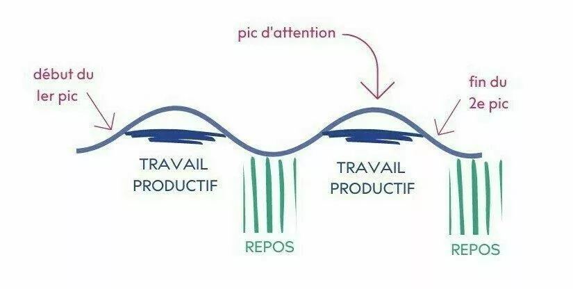 curva de atención y productividad